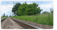 철로와 나무
